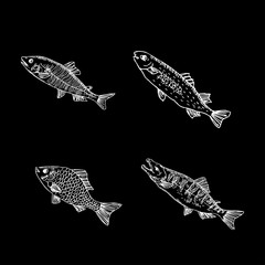 해산물 일러스트 / 손으로 그린 수산물 그림