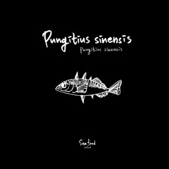 해산물 일러스트 / 손으로 그린 수산물 그림