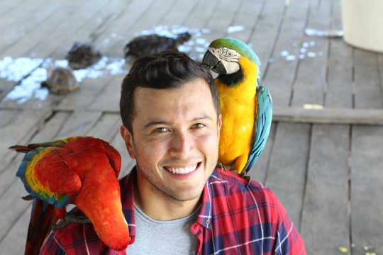 Handsome tourist interacting with macaws visiting Peru - Powered by Adobe