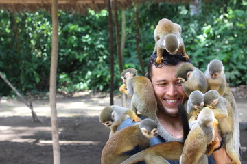 Naklejka premium Group of monkeys playing with a man