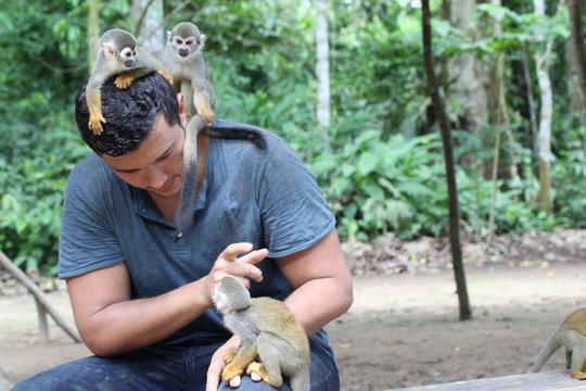 Man training a group of monkeys