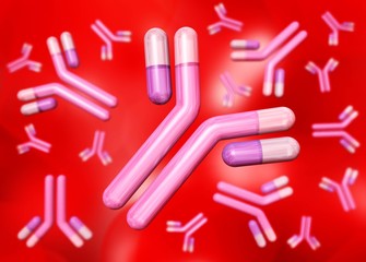 Antibodies, immunoglobulin
