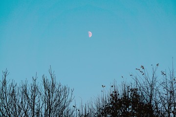 the moon in the sky