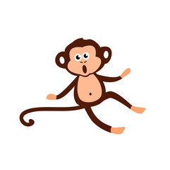 cute little monkey