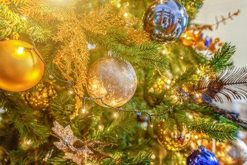 Obraz na płótnie Canvas Classic Christmas decorated New year tree. Christmas tree with gold decoration element ball close up. Modern classical style interior design apartment. Christmas eve at home