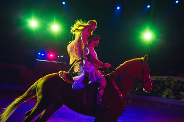 Obraz premium Horses in the circus. Speech horses with trainers on the stage of the circus.