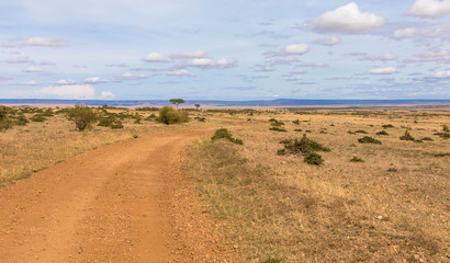 Safari durch die Massai Mara, Kenia