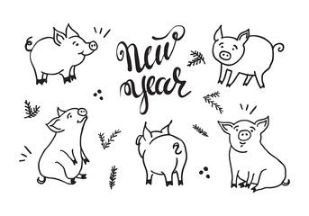 Vector. Christmas banner with fir branches and pigs