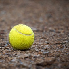 the yellow tennis ball 