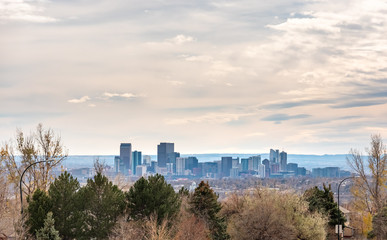 View of Downtown Denver Through Residential Area Trees