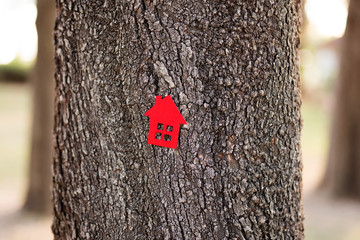 Naklejka premium Love nature. Heart Shape On Tree