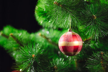 Christmas tree background