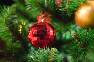 Christmas tree background