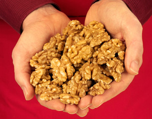 MAN HOLDING WALNUT HALVES