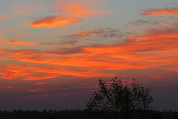 Fototapeta na wymiar Beautiful fiery orange sunset over the field, orange flame in the sky