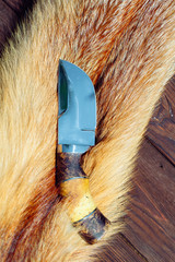 Hunting knife on red fox fur. furrier knife.