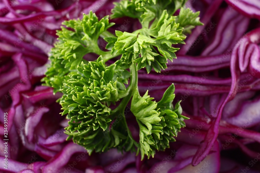 Canvas Prints red cabbage salad closeup