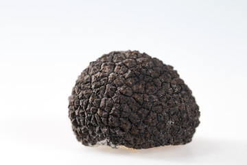 Black truffles isolated on a white background.