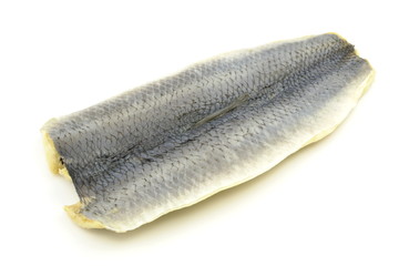 śledź © robert6666