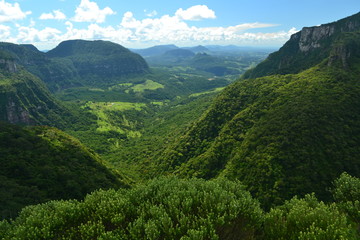 Tropical Forest and Mountains