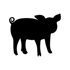 a pig,an animal icon