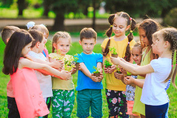 People Hands Cupping Plant Nurture Environmental