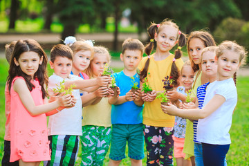 People Hands Cupping Plant Nurture Environmental