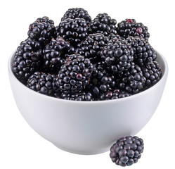 BOWL OF BLACKBERRIES