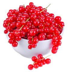 REDCURRANTS
