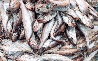 rotten fish on the market.