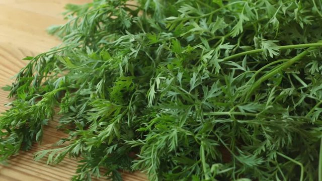 A group of carrots with green leaves on a wooden board ,natural light ,vibrant colors ,