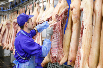 Fototapeta na wymiar Butcher cutting pork at the meat manufacturing.