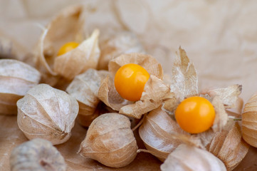 Physalis peruviana edible tasty physalis orange yellow fruits in dry husks on creased paper