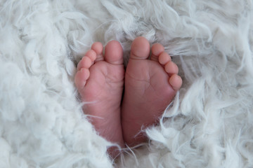 feet of a newborn baby. baby's feet. baby feet on white background