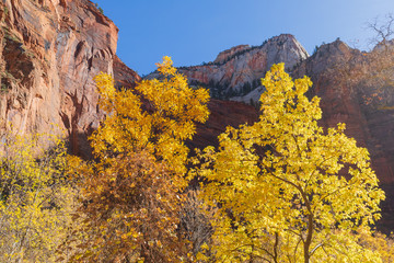 Scenic Zion National Park Utah in Autumn