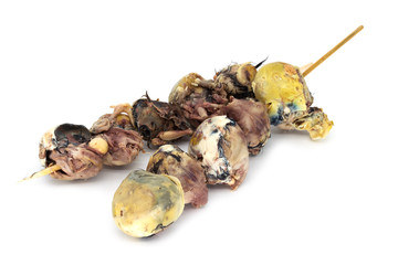 Angebrütetes Ei zum Essen