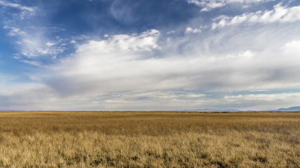 Obraz premium Coastal meadows of lake Titicaca