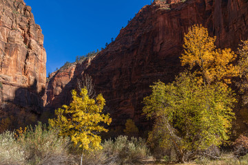 Scenic Zion National Park Utah in Autumn