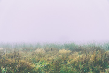 Obraz na płótnie Canvas Autumn fog over a meadow