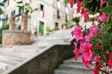 Fototapeta na wymiar Corinaldo, marche, Italy. Pink flowers and the stairway of the polenta well.