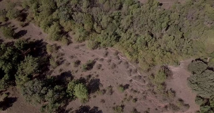 Drone Aerial view of mountains Las Medulas Bierzo Spain. Dolly Fly Over forest road trees - Landscape with trees wild nature. European woods growing both sides in summer dray land.