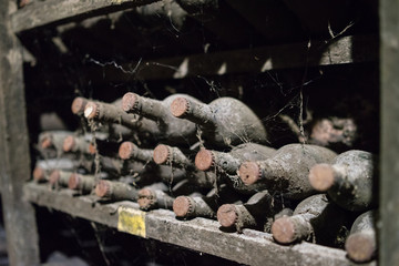 Old wine bottles covered with dust and cobwebs