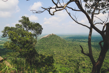 Pidurangala Rock in the Distance. Picture taken from the Sigiriya Rock.