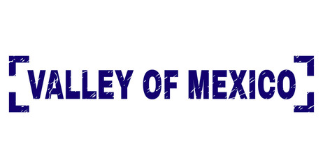 VALLEY OF MEXICO text seal watermark with grunge texture. Text tag is placed between corners. Blue vector rubber print of VALLEY OF MEXICO with grunge texture.