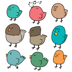 vector set of bird