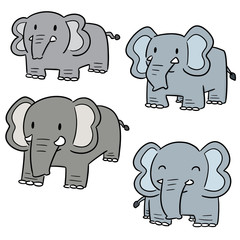 vector set of elephant