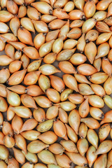 onions at the market