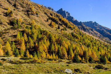 Autunno in Val Grande