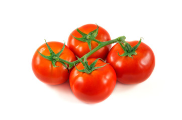 Beautiful red ripe tomatoes on a green branch. Fresh tomatoes isolated on white.
