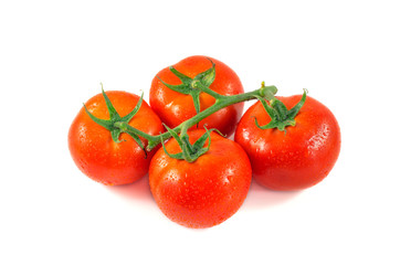 Drop of water on tomatoes peel. Beautiful red ripe tomatoes on a green branch. Fresh tomatoes isolated on white.